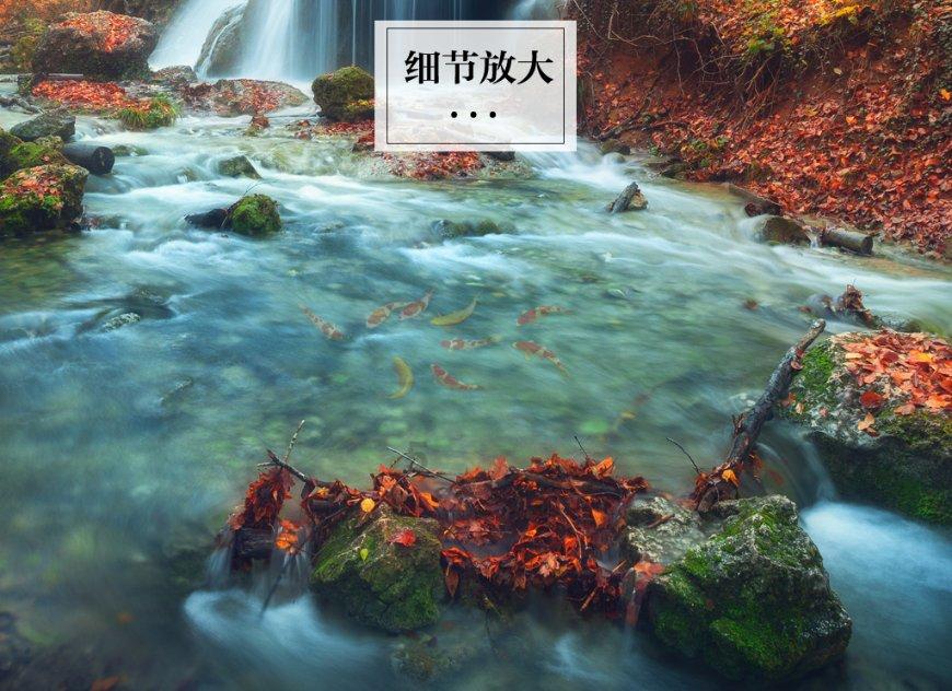 免费开放！晋江这些体育场馆春节不打烊